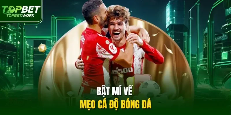 Bật mí về mẹo cá độ bóng đá