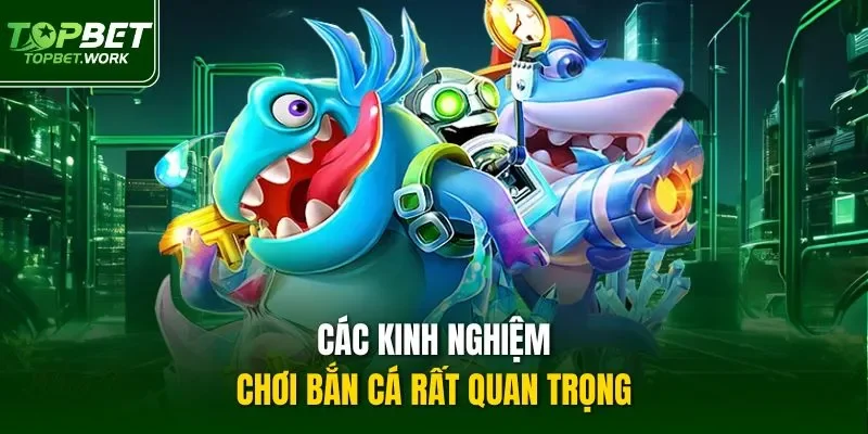 Các kinh nghiệm chơi bắn cá rất quan trọng
