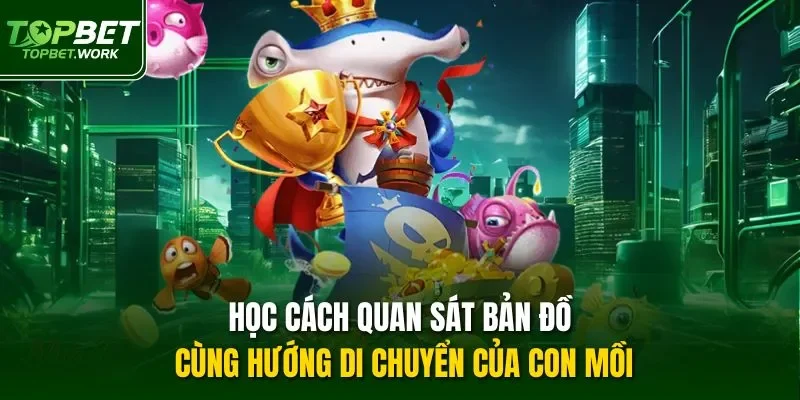 Học cách quan sát bản đồ cùng hướng di chuyển của con mồi